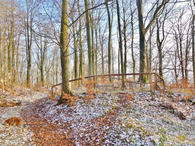 Žampach - stezka hradní zříceninou