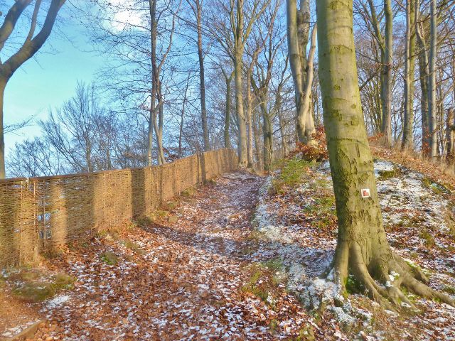 Stezka podél plotu areálu hradní zříceniny Žampach