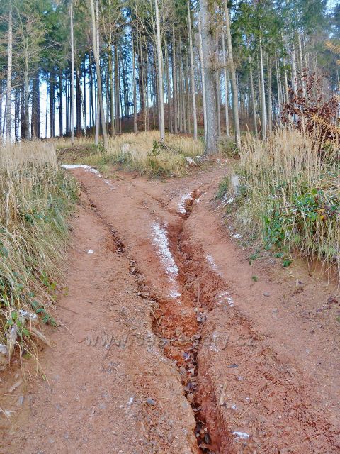 Žampach - Cesta po červené TZ z východní strany poznamenaná vodní erosí