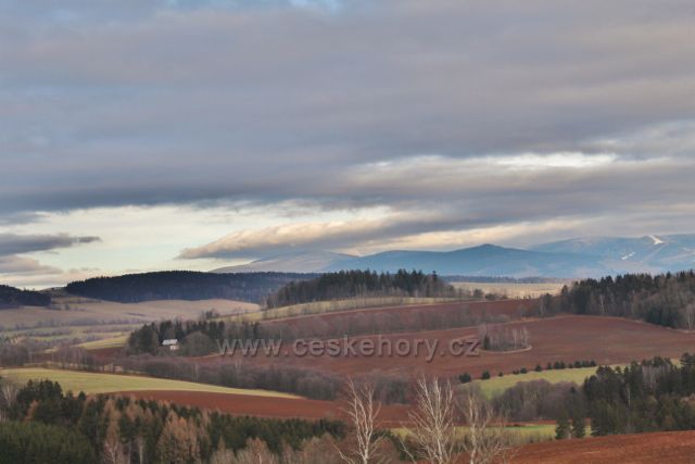 Vlčkovice - pohled z úbočí Studeného  na Králický Sněžník (1423 m.n.m.)