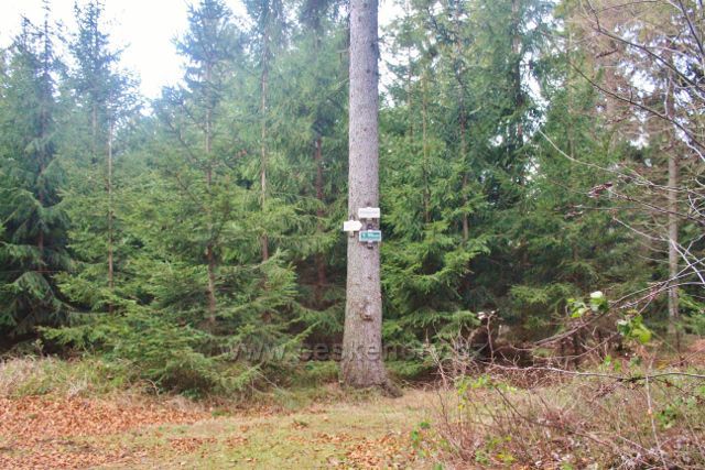 Vlčkovice - turistický rozcestník "Studenské skály 720 m.n.m.  a odbočka k vyhlídce směr Suchý vrch a Kobylí důl
