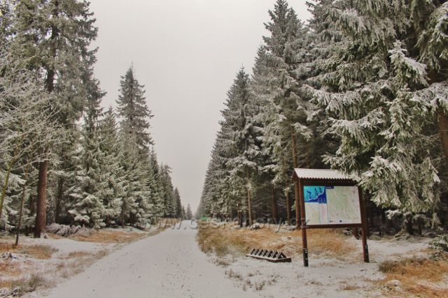 Spalona - široká a zpevněná cesta vede až k rozhledně Jagodna