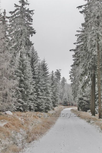 Spalona - cesta po modré TZ k rozhledně Jagodna