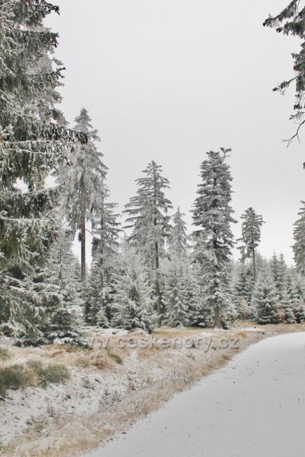 Spalona - cesta po modré TZ k rozhledně Jagodna