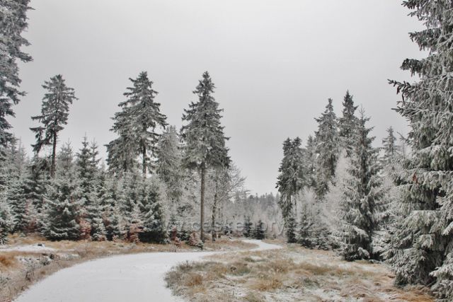 Spalona - cesta po modré TZ k rozhledně Jagodna