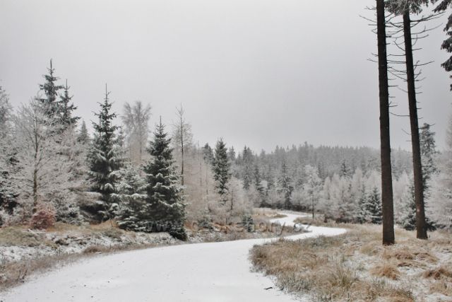 Spalona - cesta po modré TZ k rozhledně Jagodna