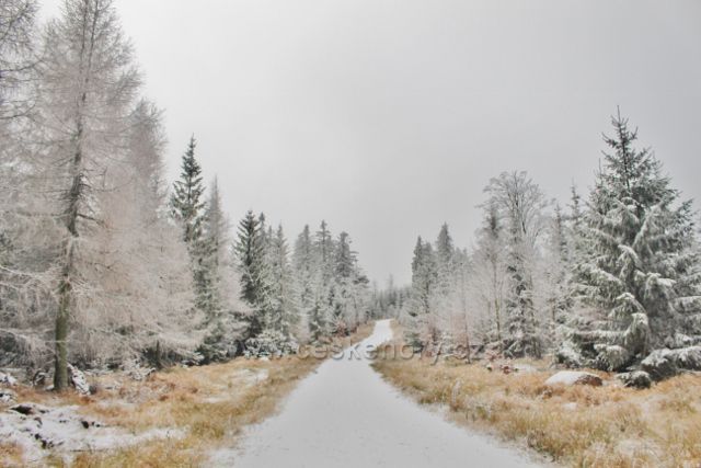 Spalona - trasa po modré TZ k rozhledně Jagodna  pokračuje po nové široké cestě