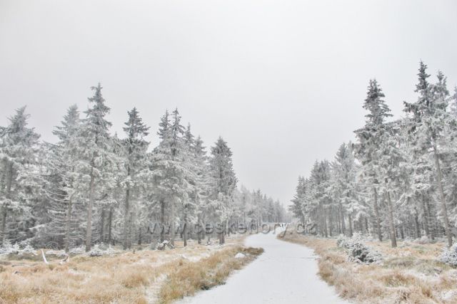 Spalona - cesta po modré TZ k rozhledně Jagodna