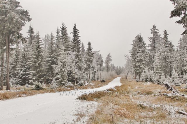 Spalona - cesta po modré TZ k rozhledně Jagodna