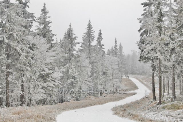 Spalona - cesta po modré TZ k rozhledně Jagodna