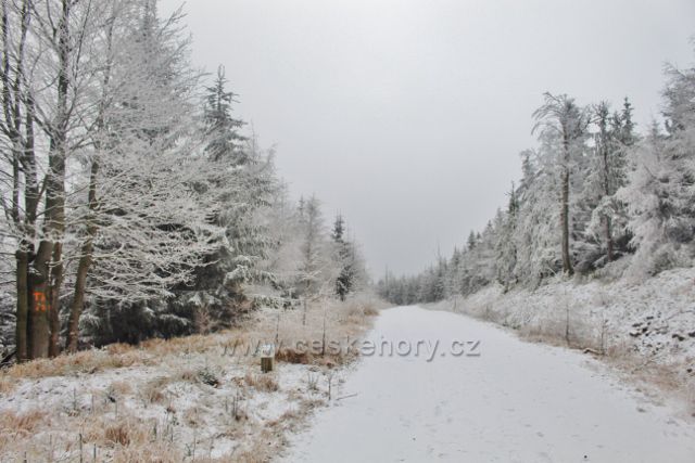 Spalona - cesta po modré TZ k rozhledně Jagodna