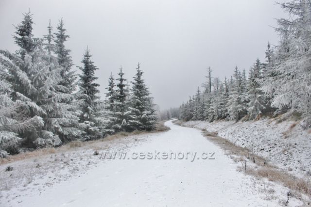 Spalona - cesta po modré TZ k rozhledně Jagodna