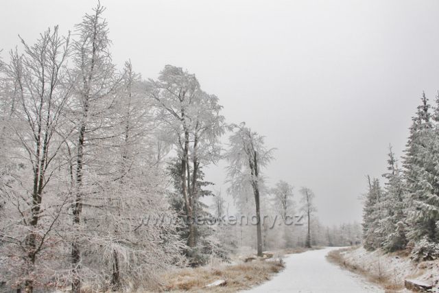 Spalona - odpočinkové místo na trase po modré TZ k rozhledně Jagodna