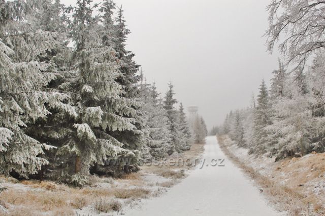 Spalona - na konci cesty vystupuje z mlhy rozhledna Jagodna