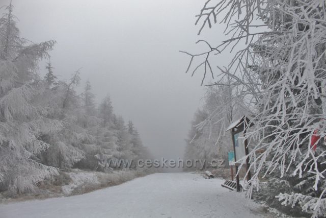 Spalona - pohled na zamlženou zpáteční cestu k turistické chatě Jagodna