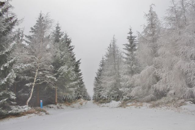 Spalona - rozcestí pod rozhlednou Jagodna. Neznačená cesta)