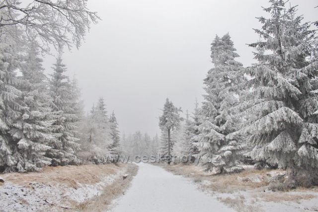 Spalona - zpáteční cesta od rozhledny Jagodna