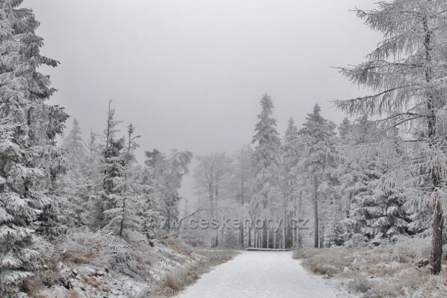 Spalona - zpáteční cesta od rozhledny Jagodna