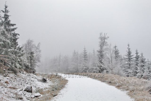 Spalona - zpáteční cesta od rozhledny Jagodna