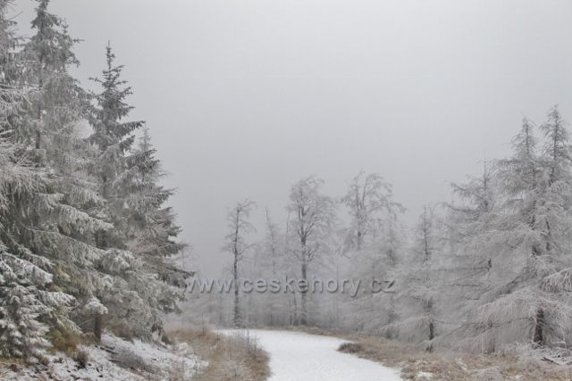 Spalona - zpáteční cesta od rozhledny Jagodna