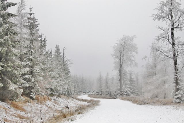 Spalona - zpáteční cesta od rozhledny Jagodna