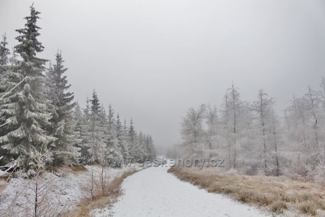 Spalona - zpáteční cesta od rozhledny Jagodna