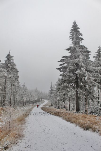 Spalona - zpáteční cesta po modré TZ z rozhledny Jagodna