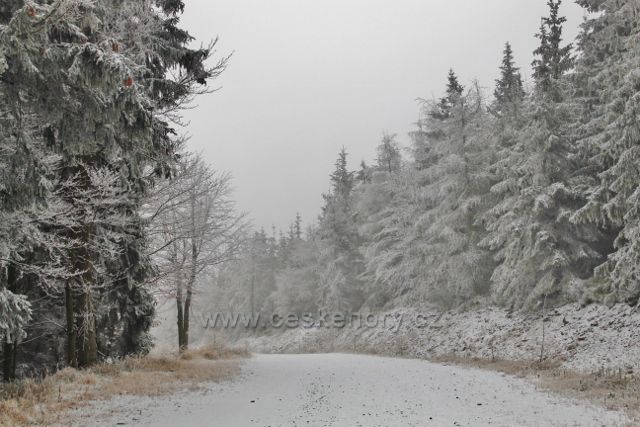 Spalona - zpáteční cesta po modré TZ z rozhledny Jagodna