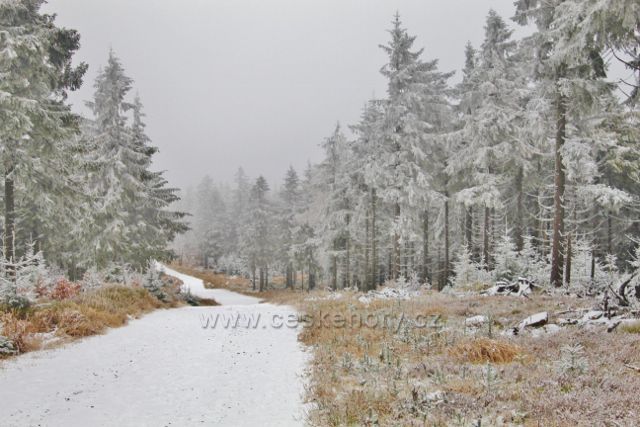 Spalona - zpáteční cesta po modré TZ z rozhledny Jagodna