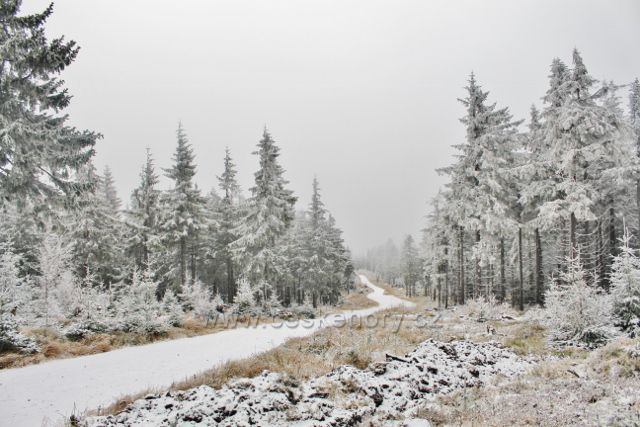 Spalona - cesta po modré TZ od rozhledny Jagodna