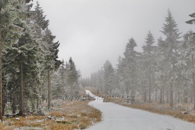 Spalona - Zpáteční cesta po modré TZ od rozhledny Jagodna