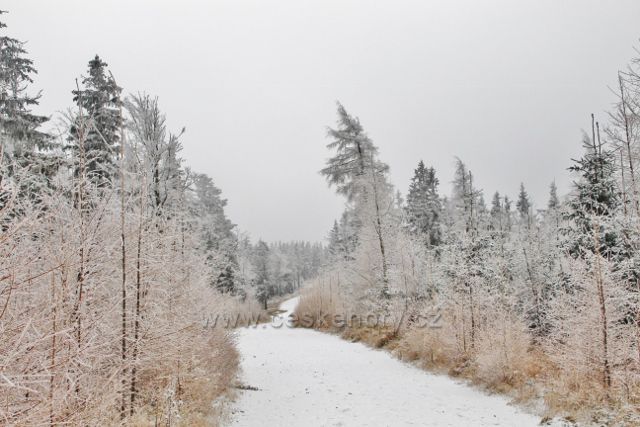 Spalona - zpáteční cesta po modré TZ od rozhledny Jagodna