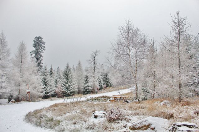 Spalona - odpočinkové místo na trase po modré TZ z rozhledny Jagodna