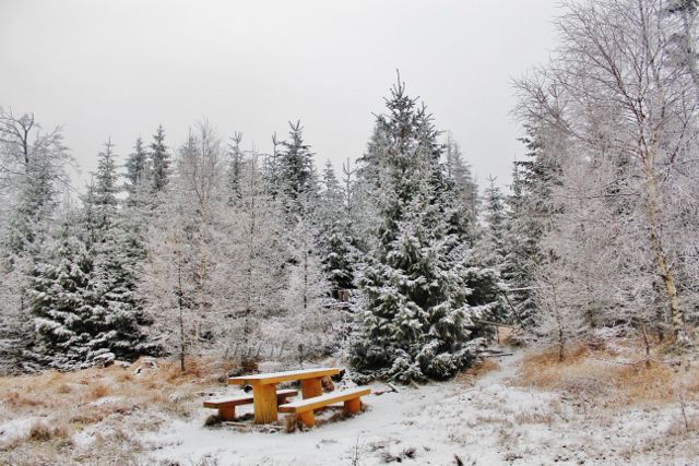 Spalona - sedánek u křižovatky lesních cest na trase z rozhledny Jagodna