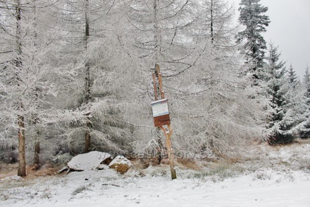 Spalona - orientační mapa lyžařských tras na křižovatce lesních cest