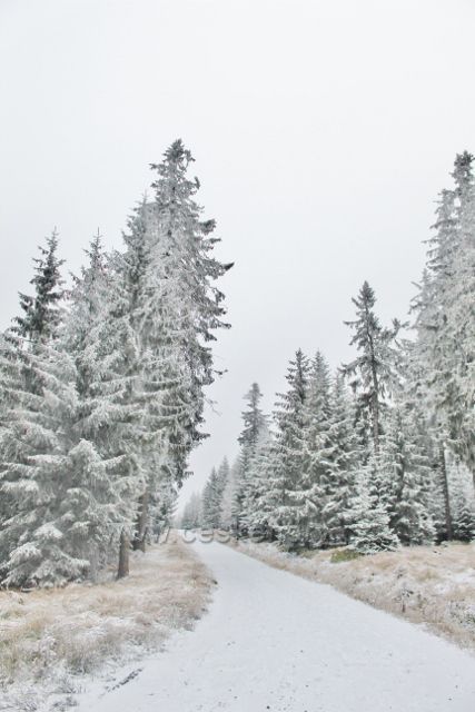 Spalona - cesta z rozhledny Jagodna