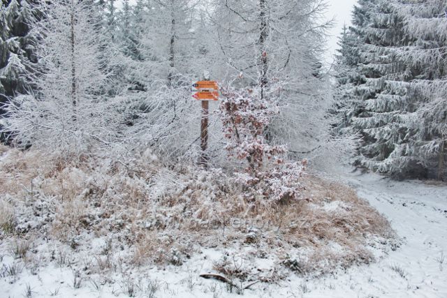 Spalona - rozcestník lyžařských tras pod vrchem Sasin(885 m.n.m.)