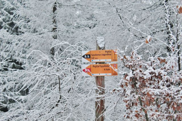 Spalona - rozcestník lyžařských tras pod vrchem Sasin (885 m.n.mn.)