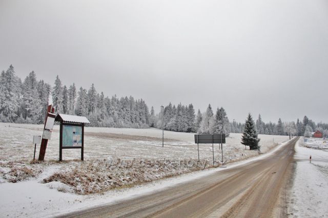 Spalona - příjezdová silnice k chatě Jagodna od Orlického Záhoří