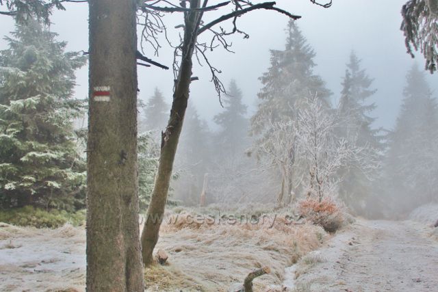 Šerlich - hřebenovka před NPR Bukačka