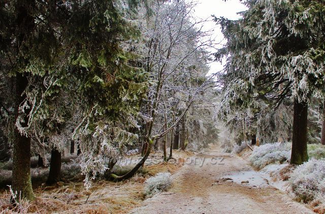 Šerlich - hřebenovka před NPR Bukačka