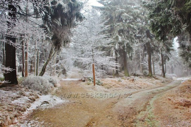 Šerlich - NPR Bukačka, rozcestí