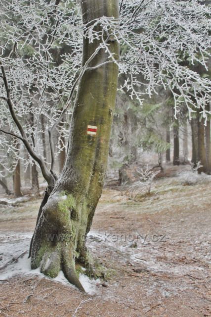 Šerlich - NPR Bukačka - po červené TZ