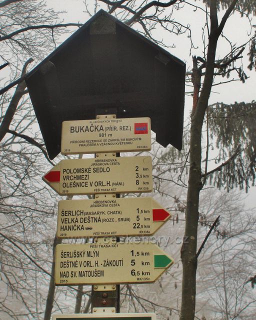 Šerlich - turistický rozcestník "Bukačka (přír.rez.) 981 m.n.m.