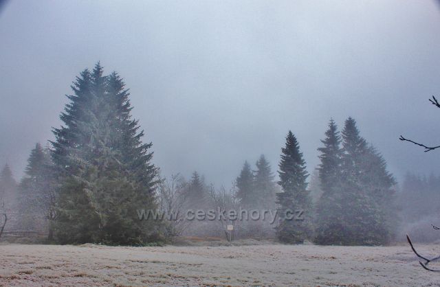 Šerlich - NPR Bukačka, luční enkláva dosahuje až k polské státní hranici