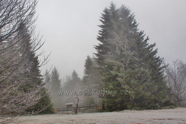 Šerlich - NPR Bukačka, průhled luční enklávou k Česko polské státní hranici