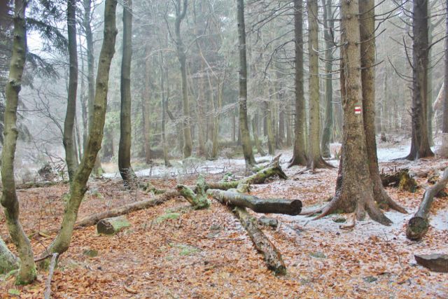 Šerlich - NPR Bukačka