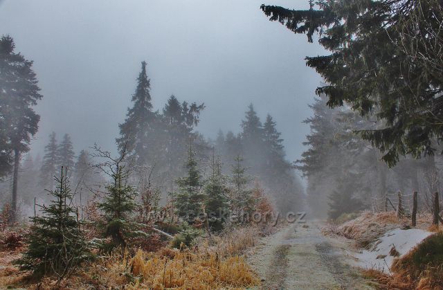 Sedloňov - hřebenovka k Polomskému sedlu