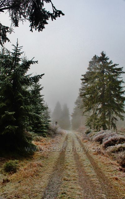 Sedloňov - hřebenovka, Jiráskova cesta k Polomskému sedlu