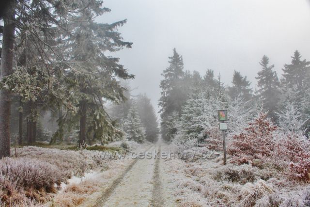 Sedloňov - na hranici NPR Bukačka
